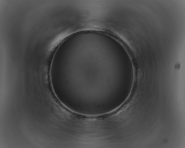 X0000091231455200708231644