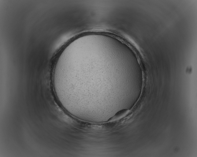 X0000091231456200708231644