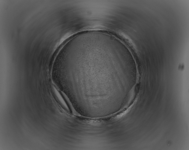 X0000091231457200708231644