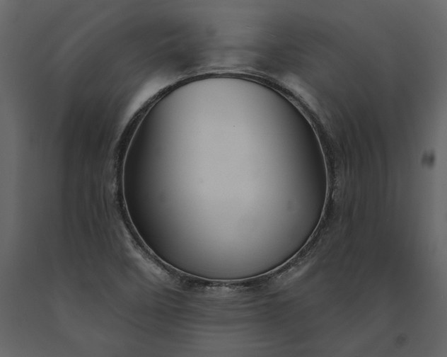 X0000091231458200708231643