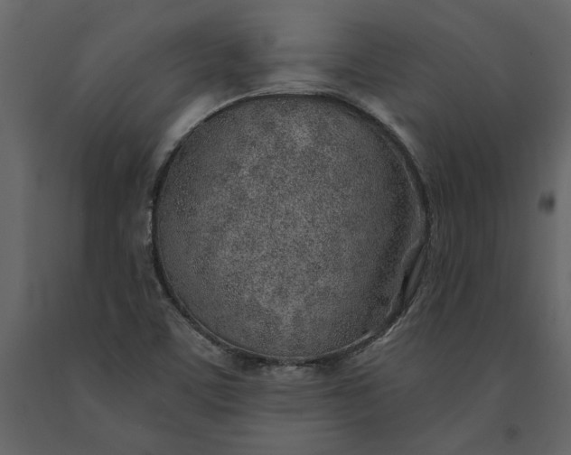 X0000091231459200708231643