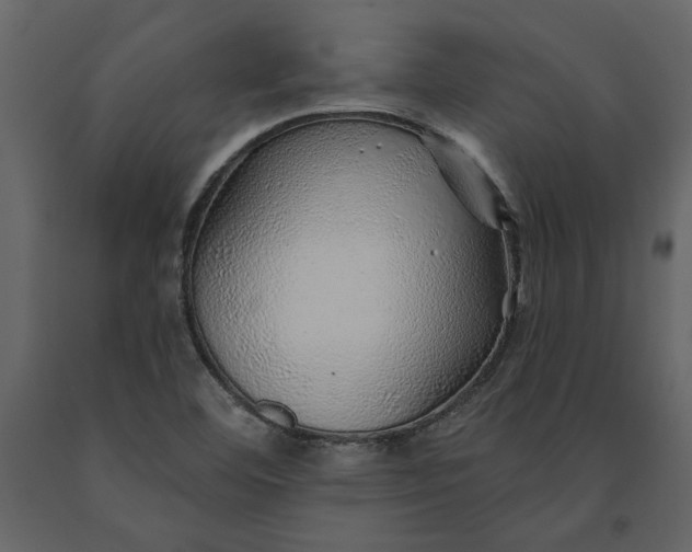 X0000091231460200708231643