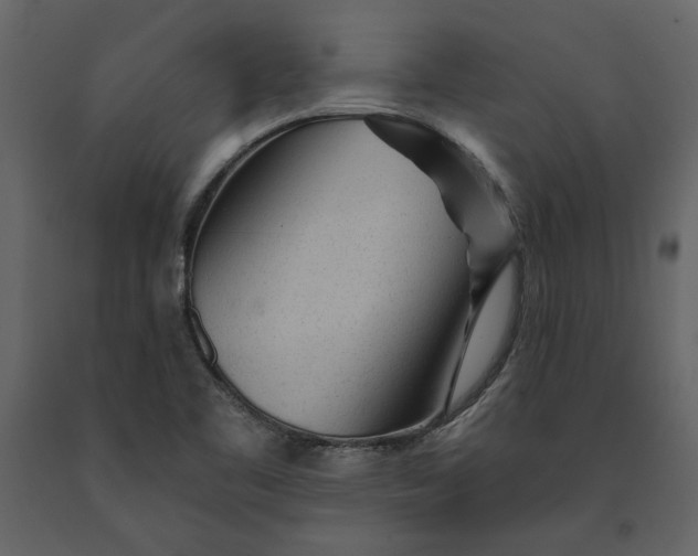X0000091231461200708231643