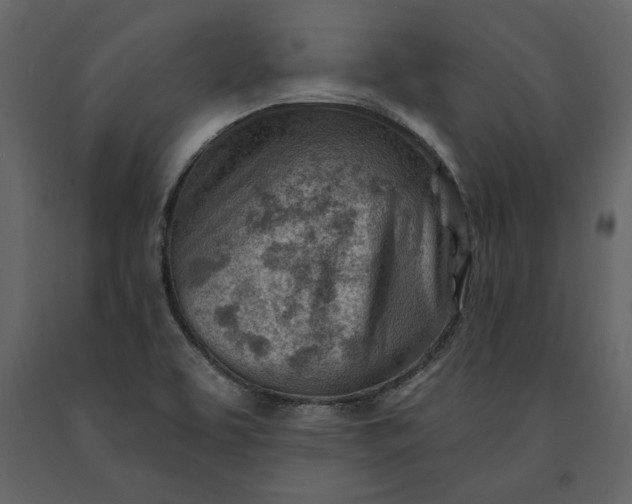 X0000091231463200708231643