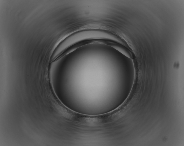 X0000091231465200708231643