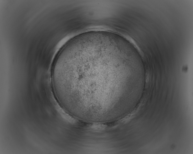 X0000091231466200708231643