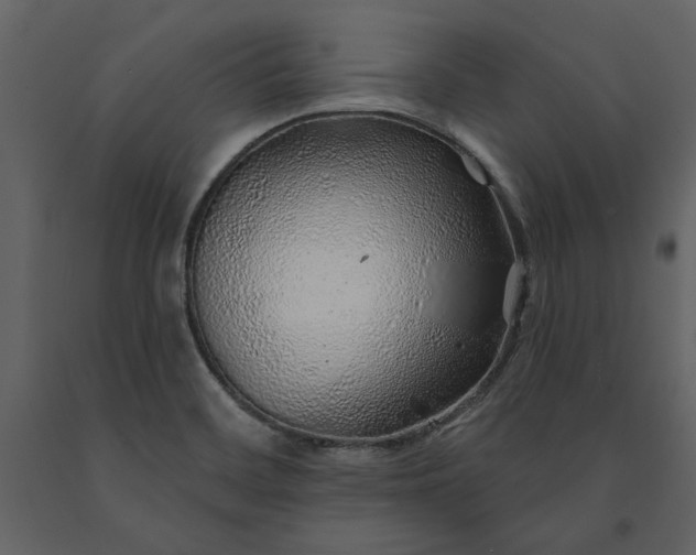X0000091231468200708231643