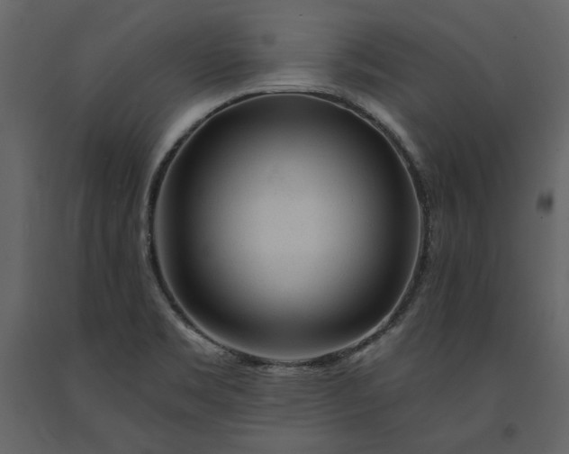 X0000091231469200708231643