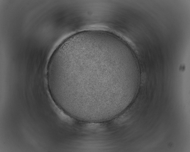 X0000091231470200708231643