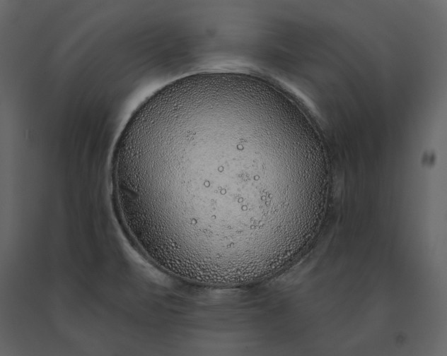 X0000091231471200708231643