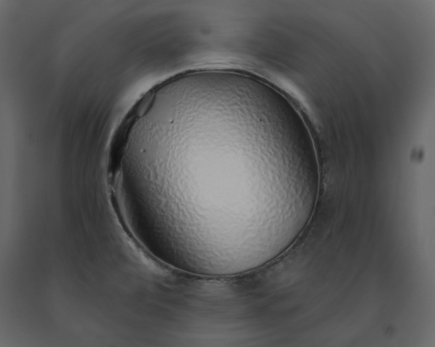 X0000091231472200708231643