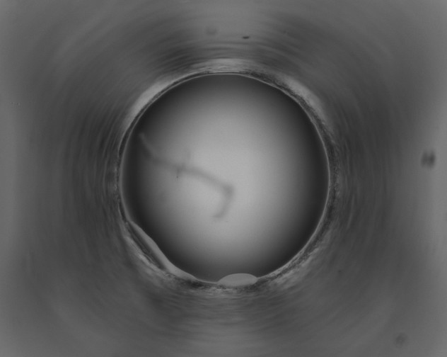 X0000091231473200708231643
