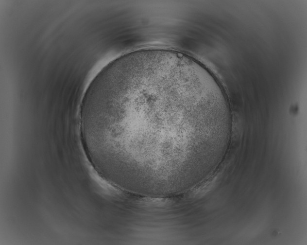 X0000091231474200708231643