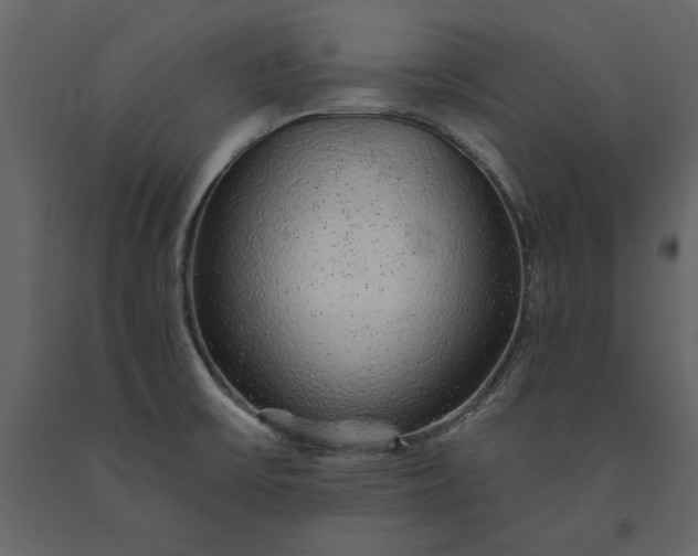 X0000091231475200708231643