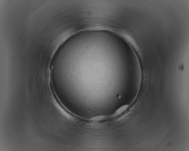 X0000091231476200708231643