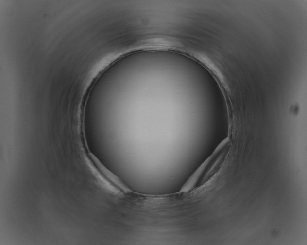 X0000091231477200708231643