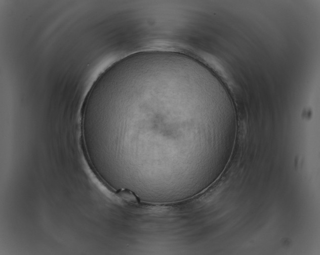 X0000091231479200708231643
