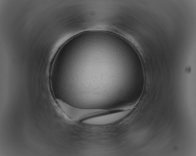 X0000091231480200708231643