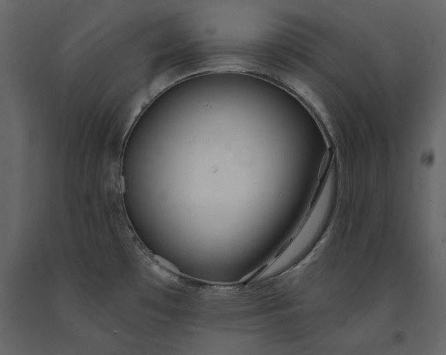 X0000091231481200708231643