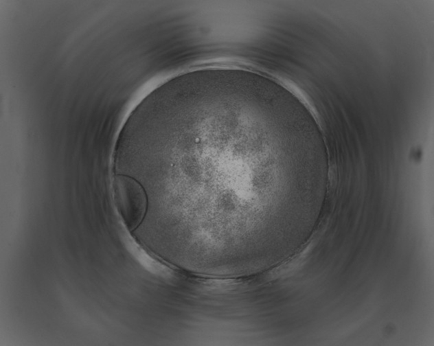 X0000091231482200708231643