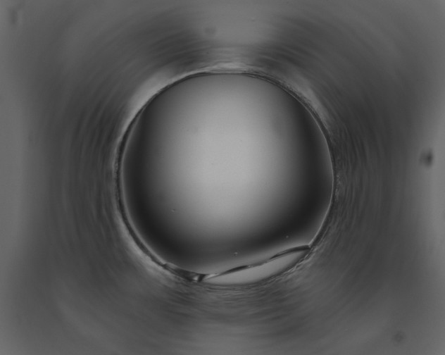 X0000091231483200708231643