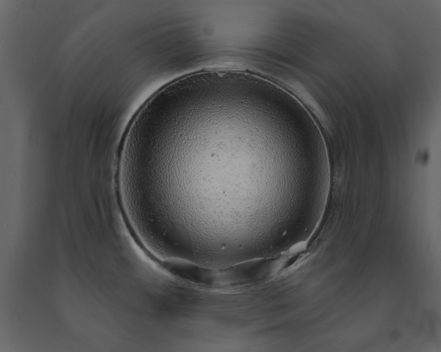 X0000091231484200708231643