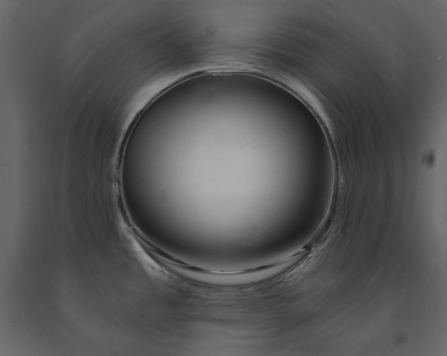 X0000091231485200708231643