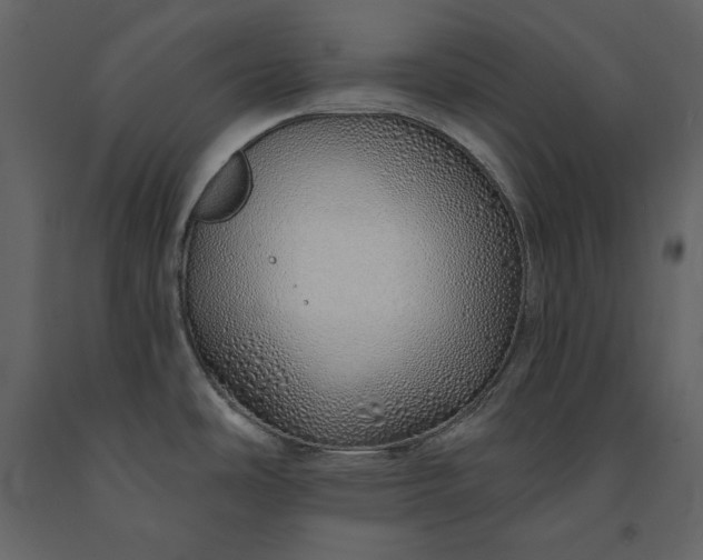 X0000091231486200708231643
