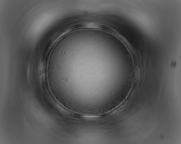 X0000091231487200708231643