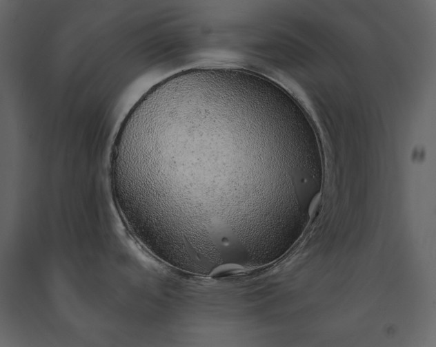 X0000091231488200708231643