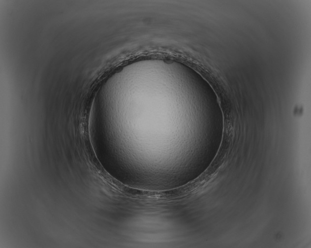 X0000091231490200708231642