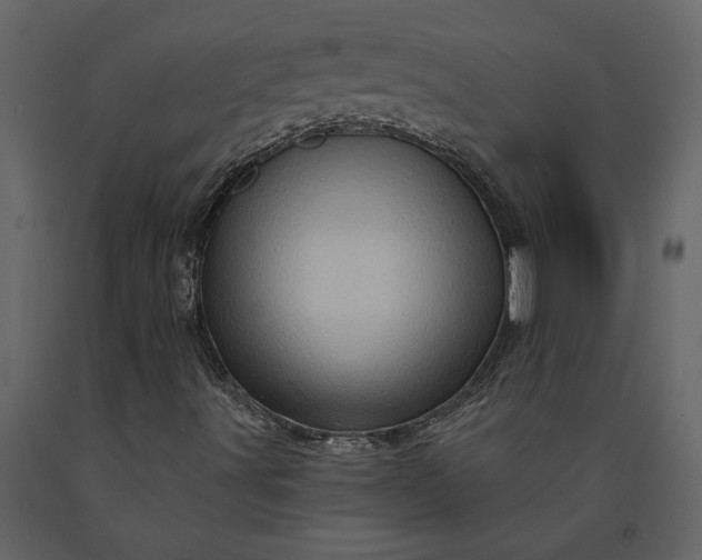 X0000091231491200708231642