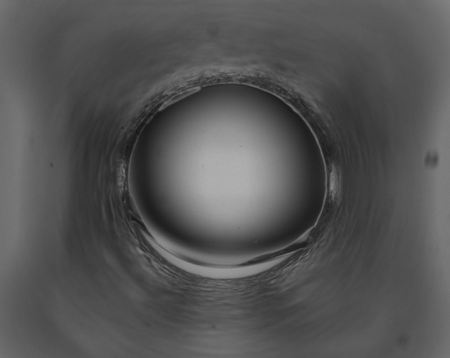 X0000091231492200708231642