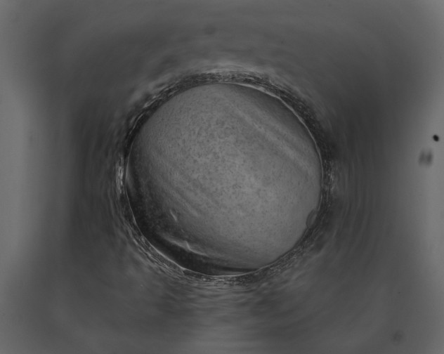 X0000091231493200708231642