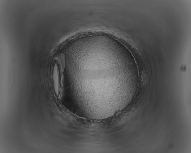 X0000091231494200708231642
