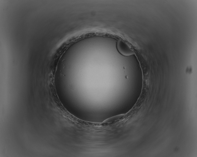 X0000091231495200708231642