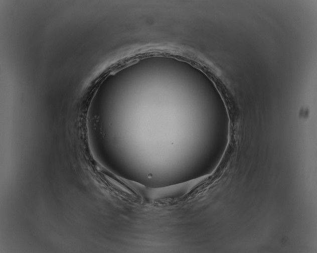 X0000091231496200708231642