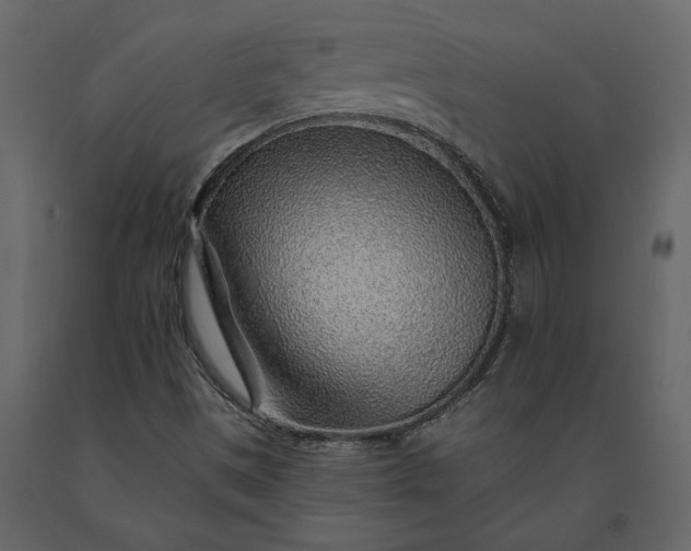 X0000091231497200708231642