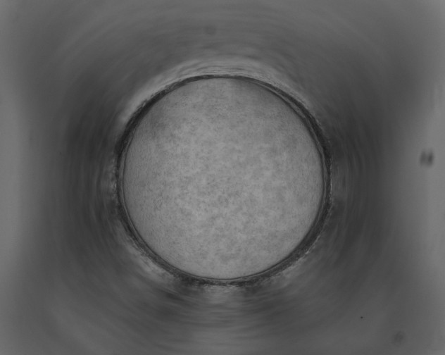 X0000091231498200708231642