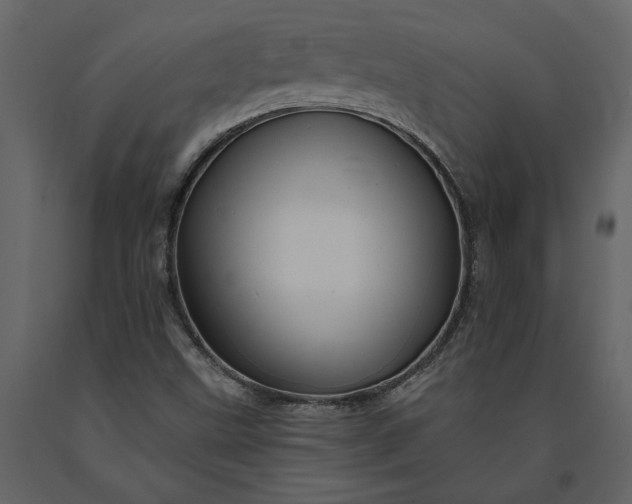X0000091231499200708231642