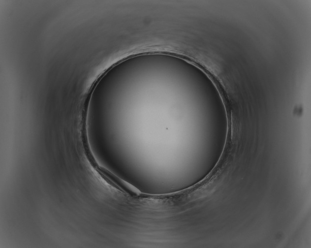 X0000091231500200708231642