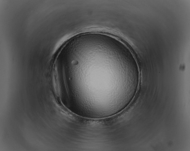X0000091231501200708231642