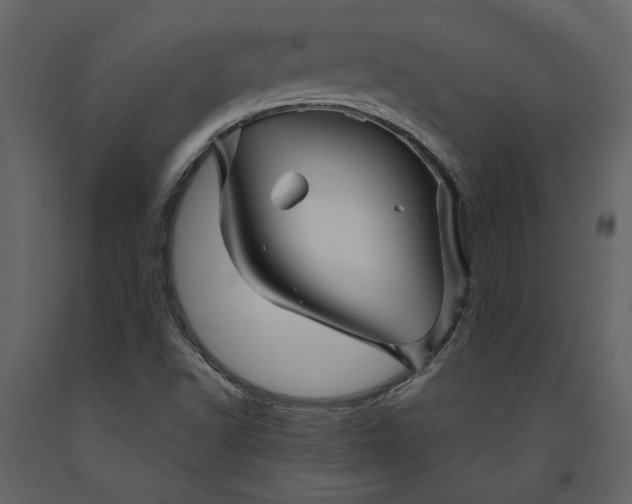 X0000091231502200708231642