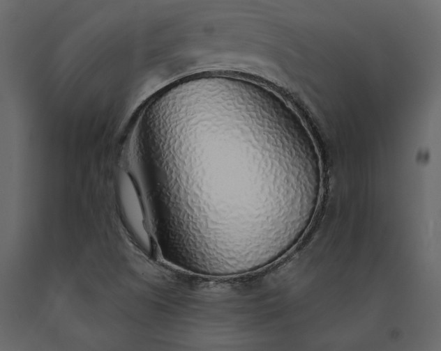 X0000091231505200708231642