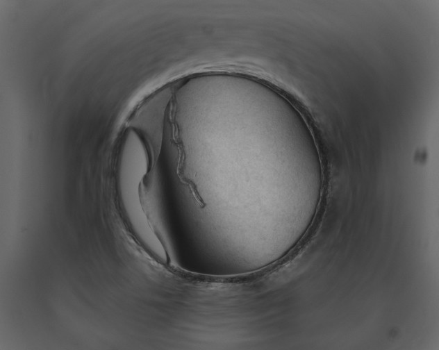 X0000091231506200708231642