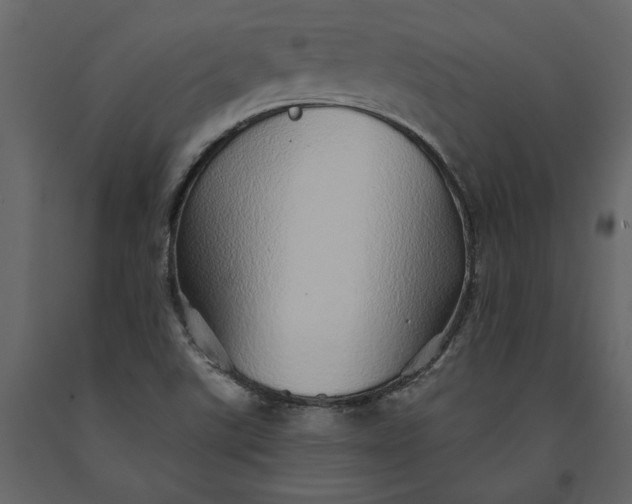 X0000091231507200708231642
