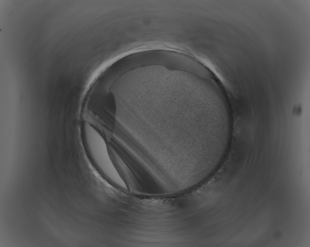 X0000091231508200708231642