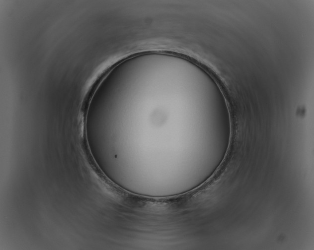X0000091231509200708231642