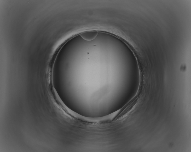 X0000091231510200708231642