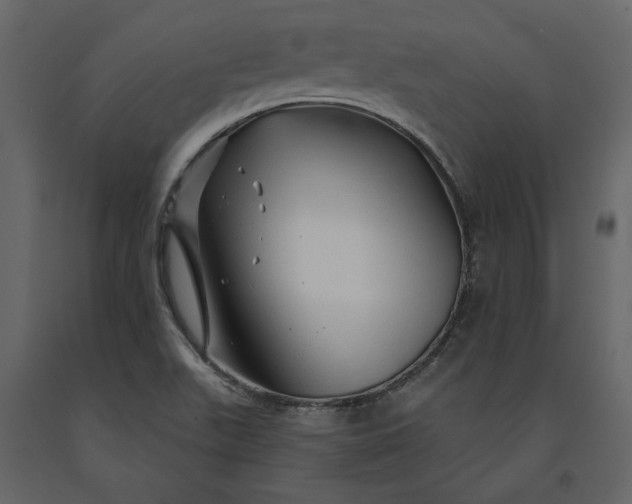 X0000091231511200708231642